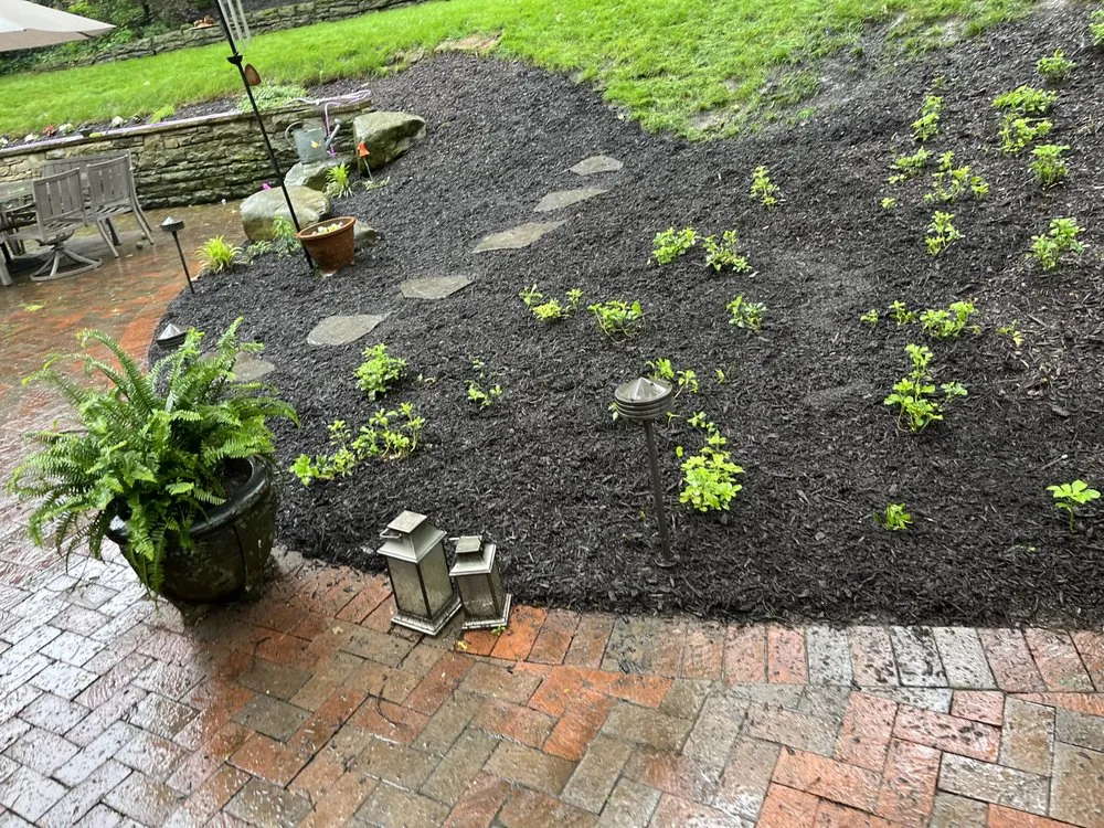 Slide of Cody’s Care Services