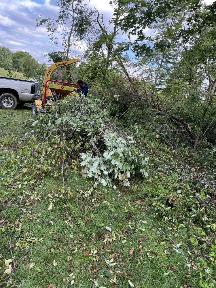 Slide of Cody’s Care Services