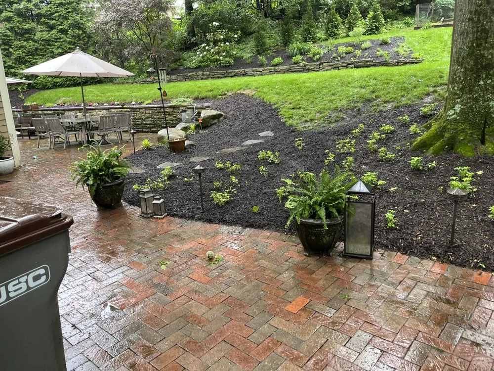 Slide of Cody’s Care Services