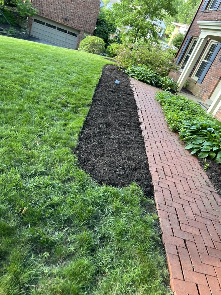 Slide of Cody’s Care Services