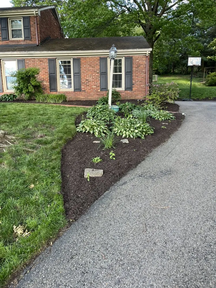 Slide of Cody’s Care Services