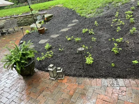 Cody’s Care Services Logo