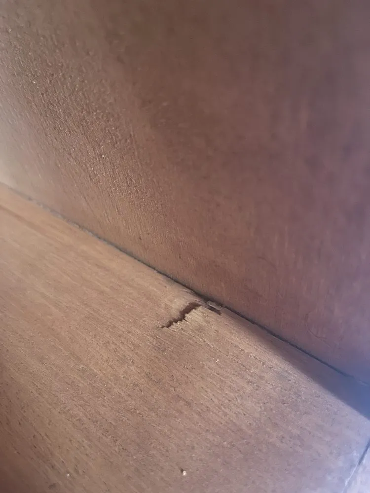 Slide of Cohen Construction