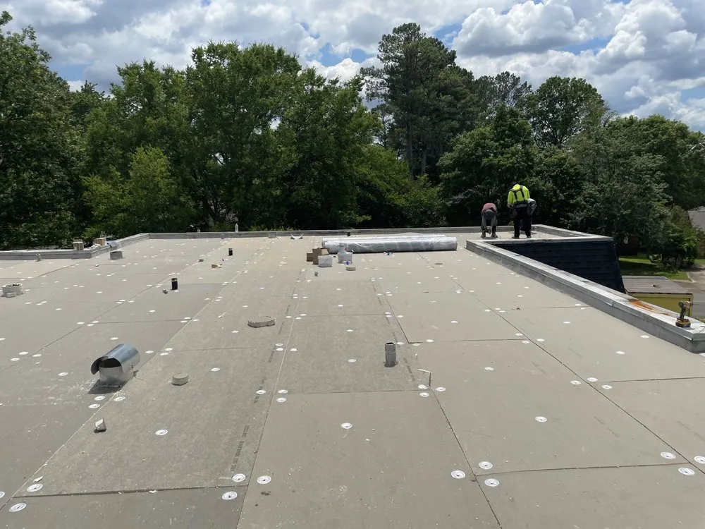 Slide of Cole & Sons