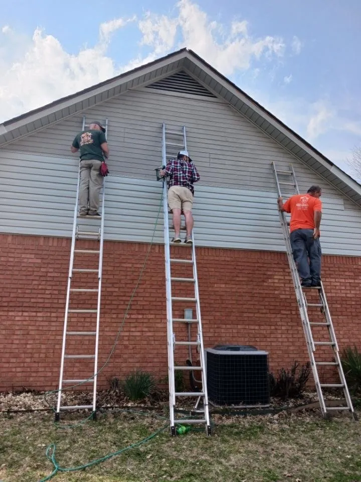 Slide of Cole & Sons