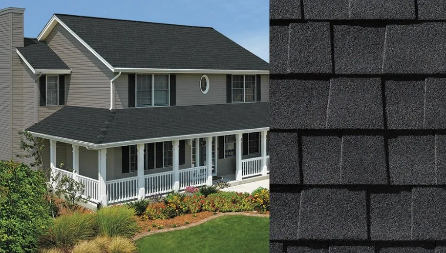 Slide of Cole & Sons