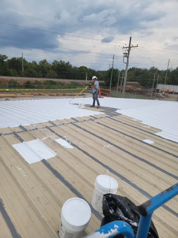 Slide of Cole & Sons