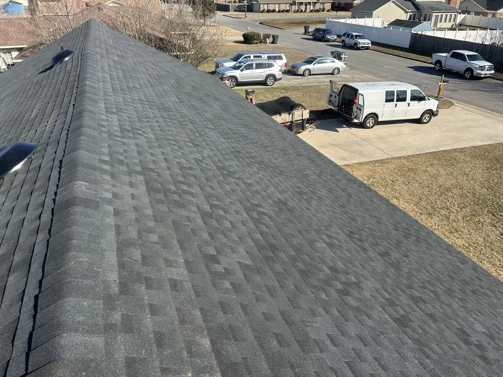 Slide of Cole & Sons