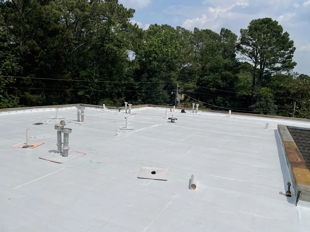 Slide of Cole & Sons