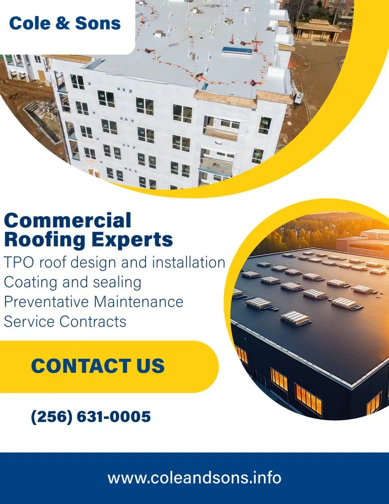 Slide of Cole & Sons