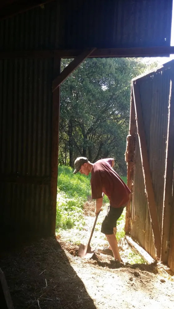 Slide of Coles Cleaning Services