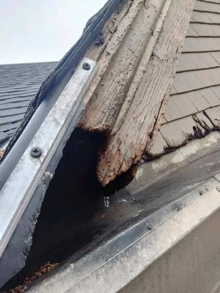 Slide of Collins Contracting