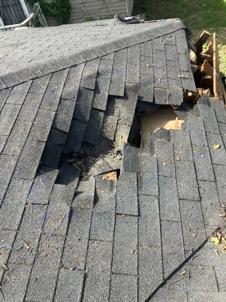 Slide of Collins Metal