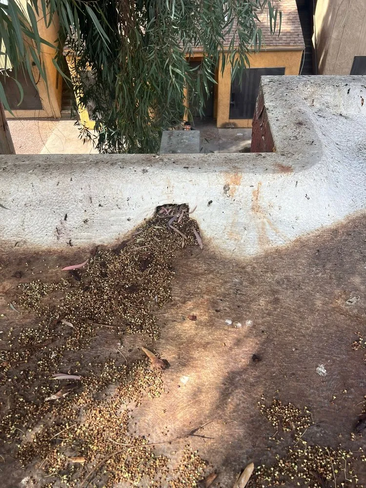 Slide of Collins Roofing Service