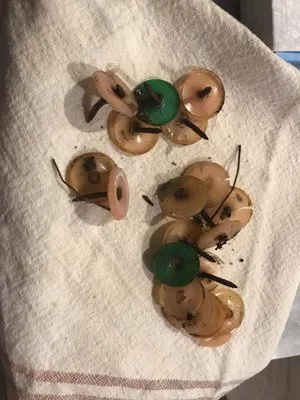 Colonial Roofing Logo