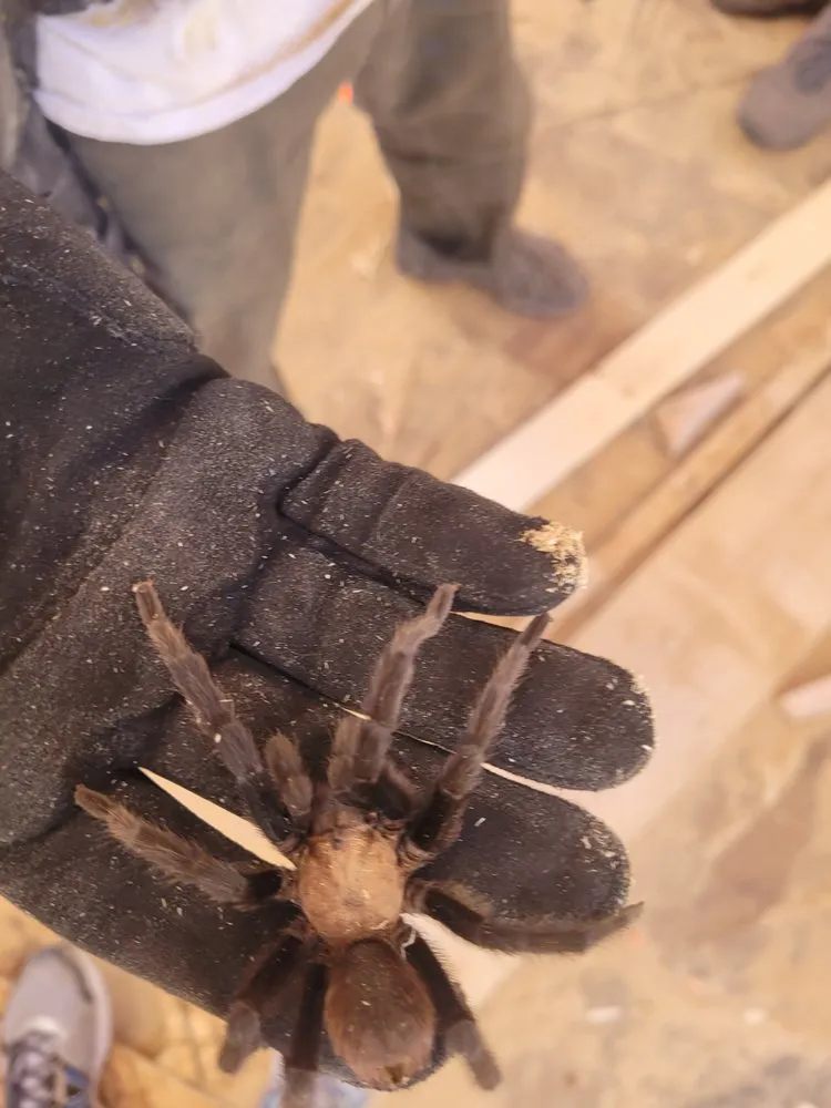 Slide of Colorado Custom Exteriors