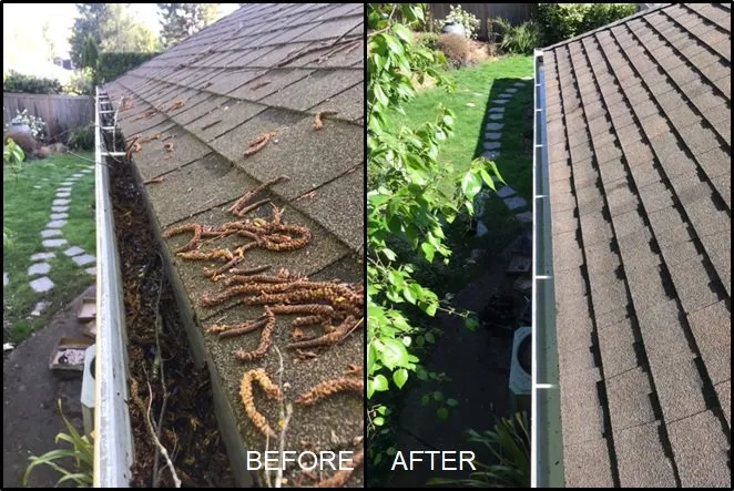 Slide of Columbia Gutter Cleaning
