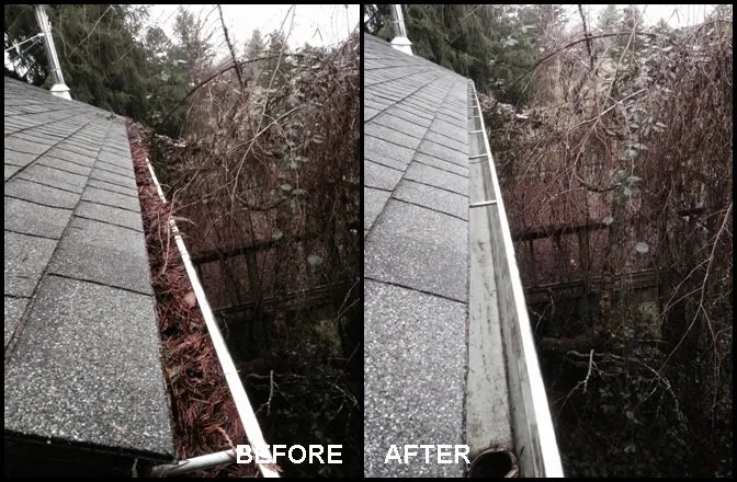 Slide of Columbia Gutter Cleaning