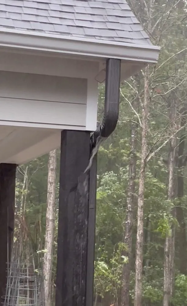 Slide of Columbus Seamless