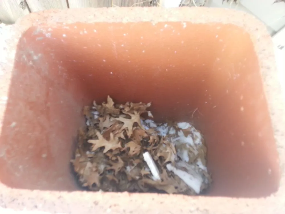 Slide of Combustible Care Maintenance