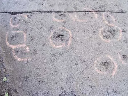 Slide of Commercial Flat Roof Company