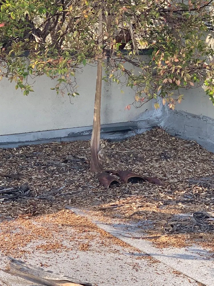 Slide of Commercial Roofing Concepts