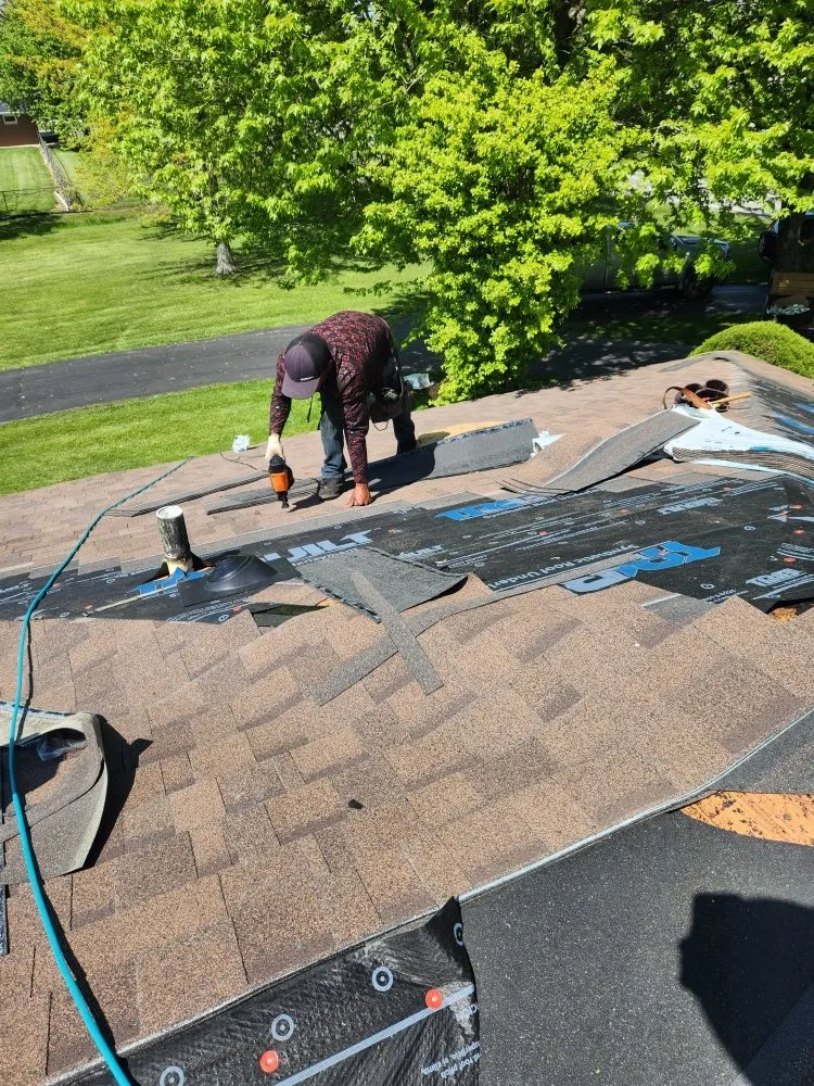 Slide of Companions Exteriors