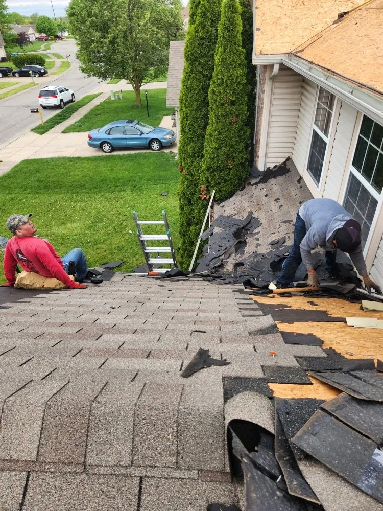 Slide of Companions Exteriors