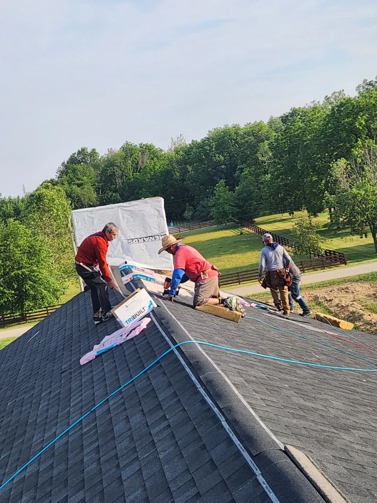 Slide of Companions Exteriors