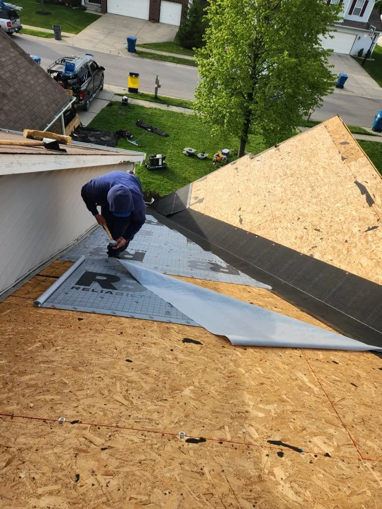 Slide of Companions Exteriors