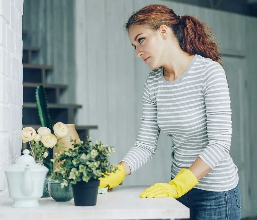 Slide of Company Revivo