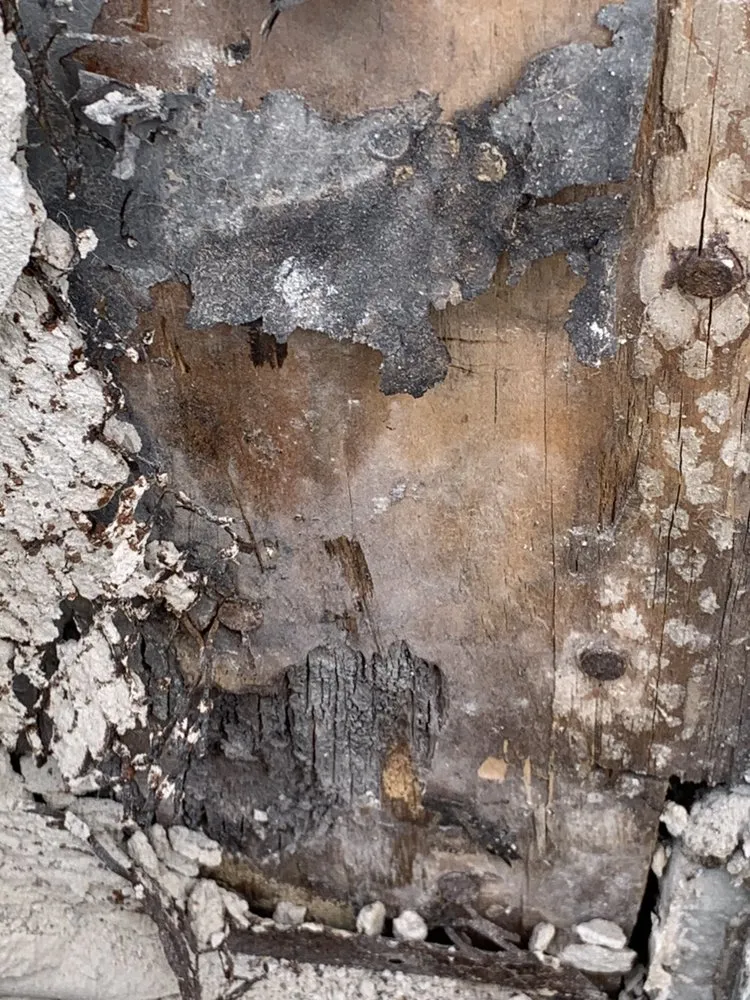 Slide of Complete Home And Estate Solutions