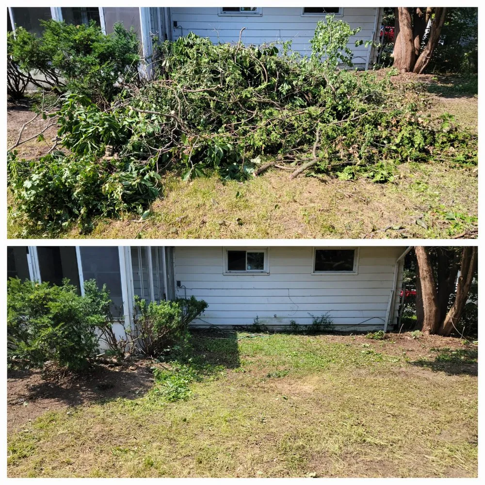 Slide of Complete Junk Removal & Demolition Services