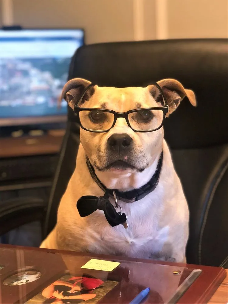 Slide of Complete Roof Systems