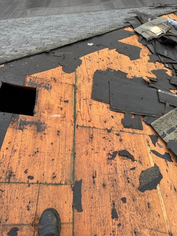 Slide of Construction Jarquin