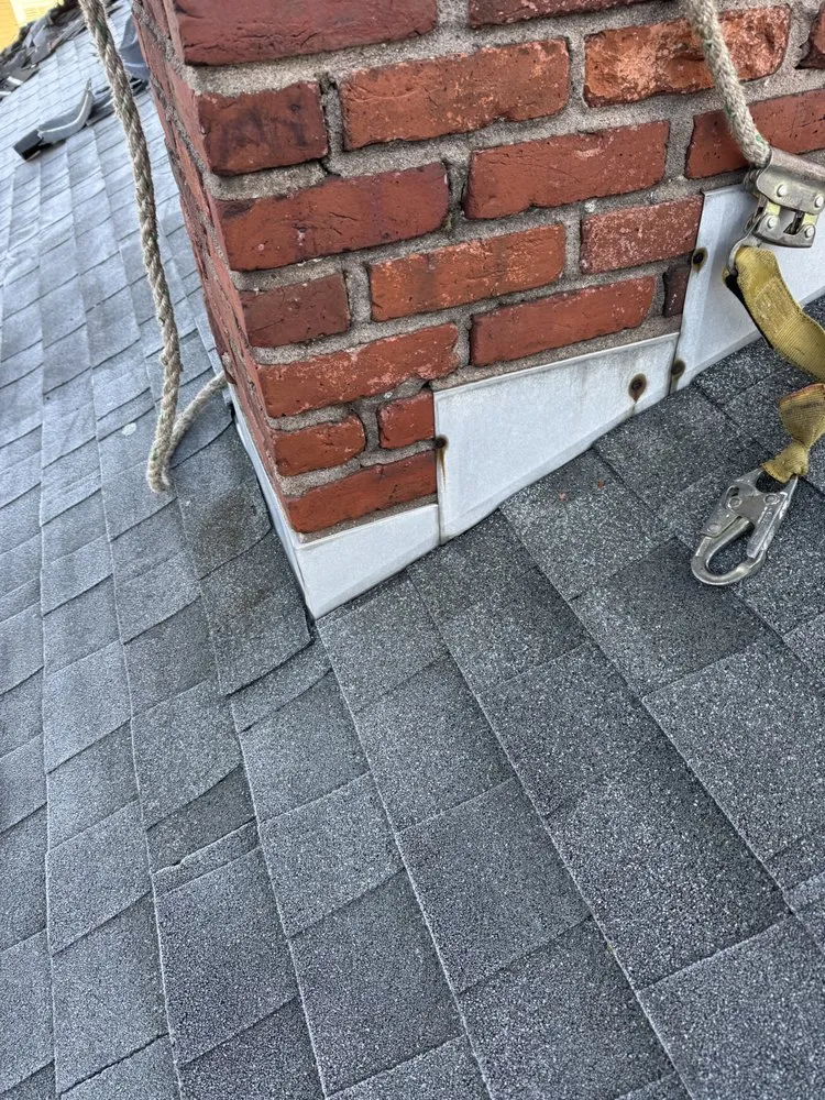 Slide of Construction Mutants