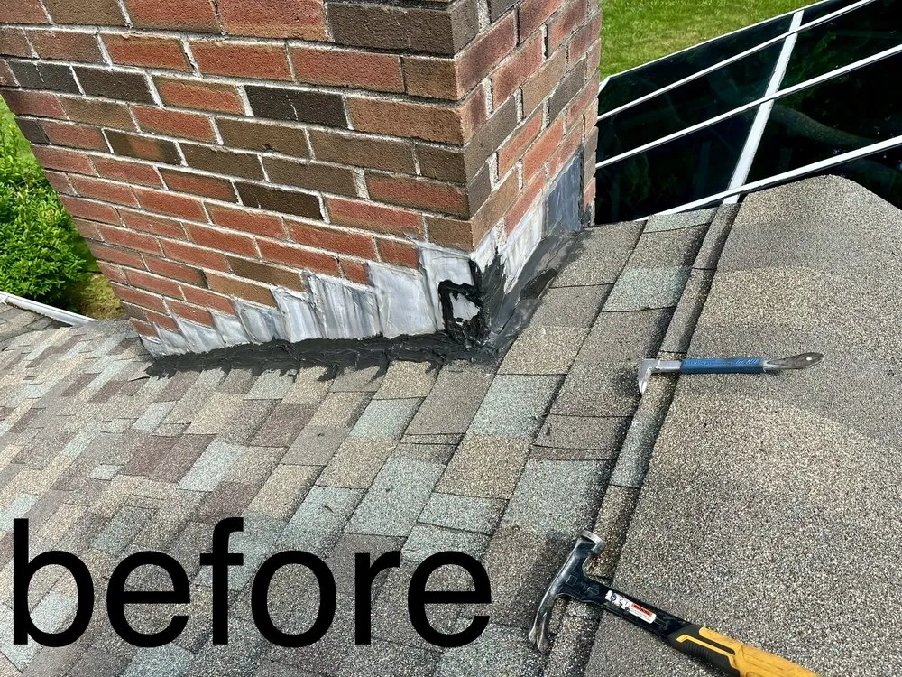 Slide of Construction Mutants