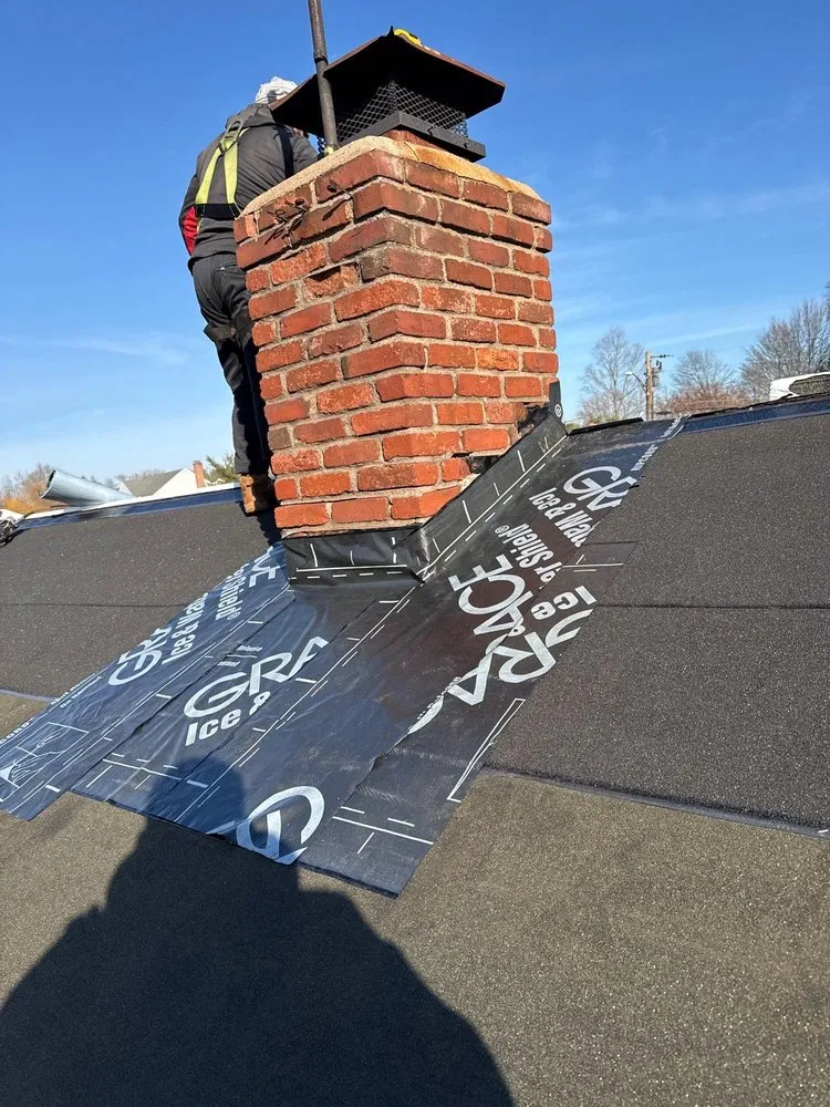 Slide of Construction Mutants