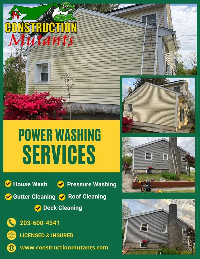 Slide of Construction Mutants