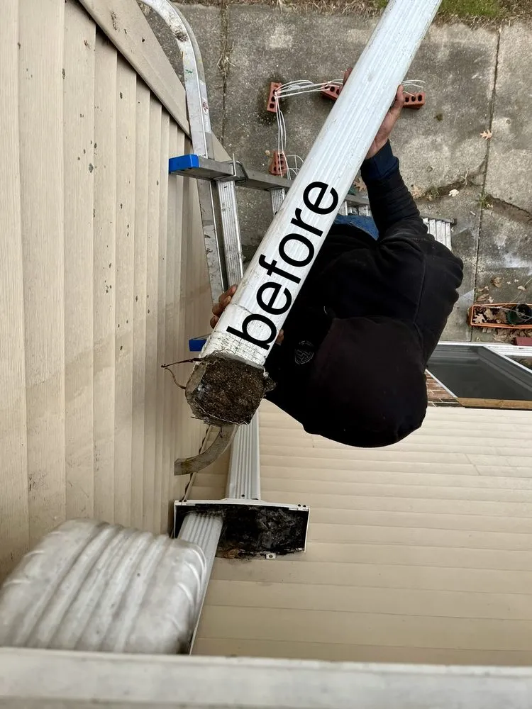 Slide of Construction Mutants