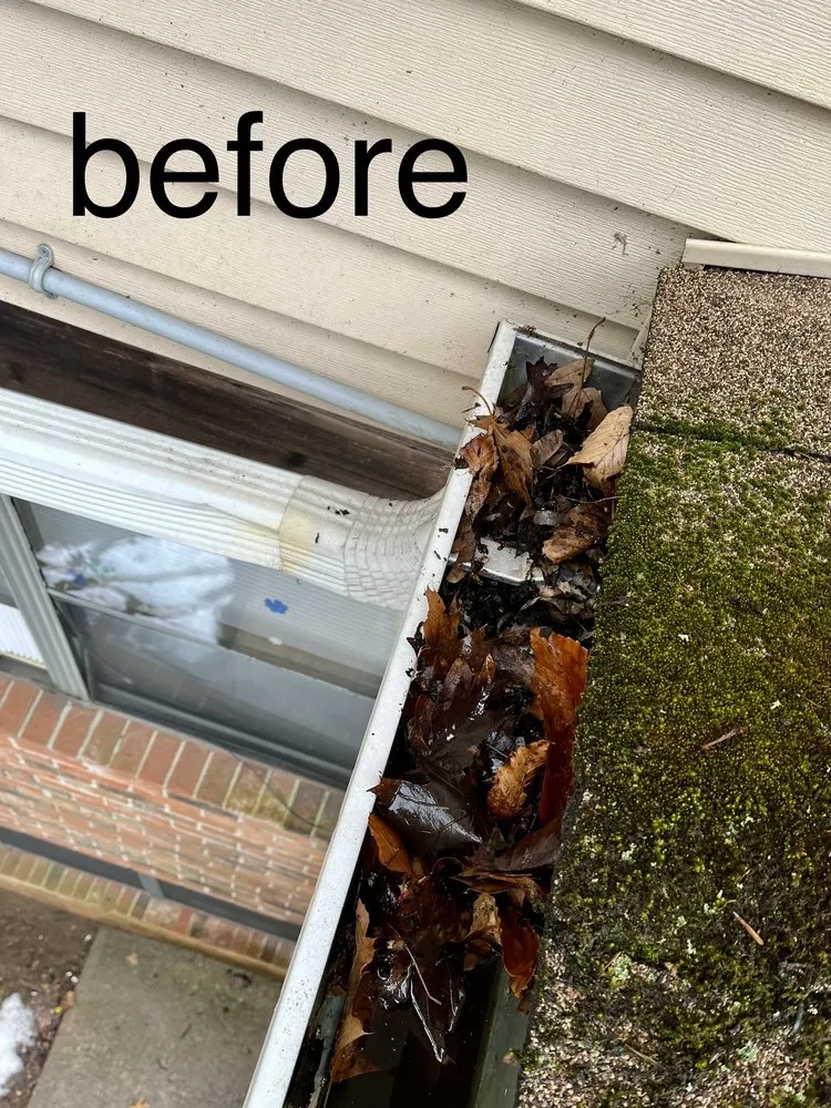 Slide of Construction Mutants