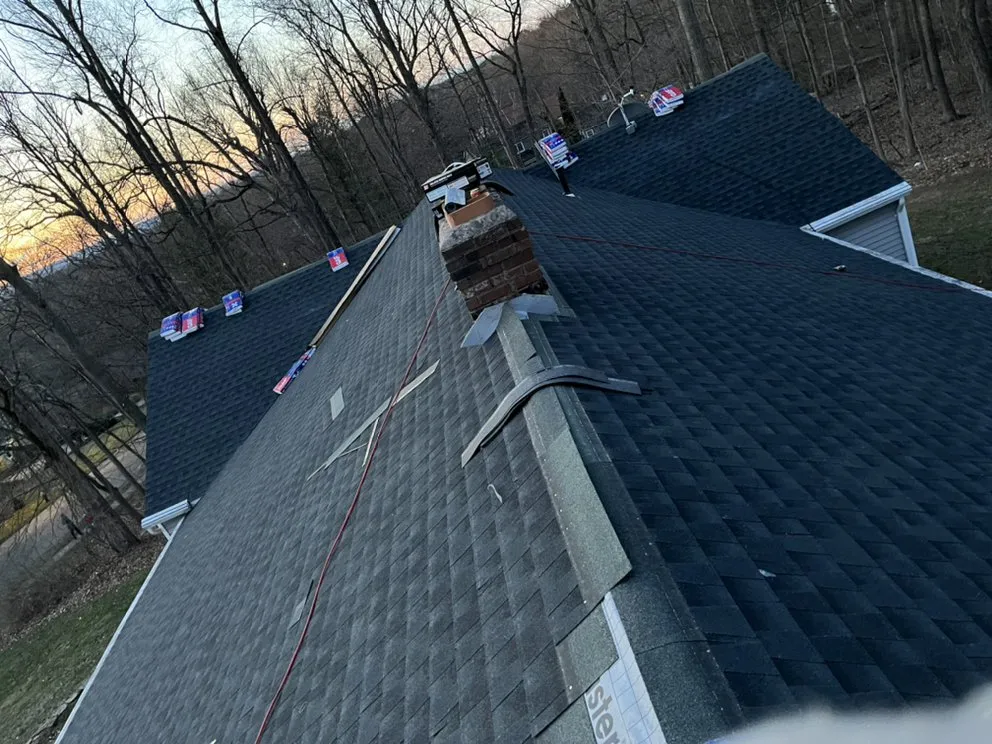 Slide of Construction Mutants