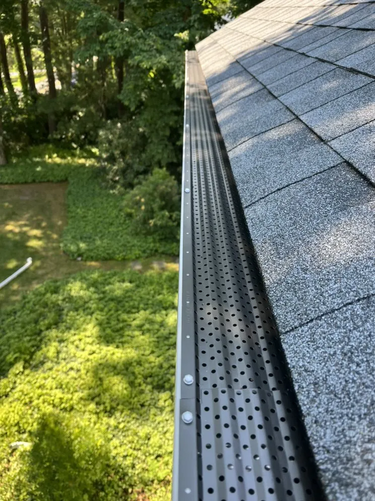 Slide of Construction Mutants