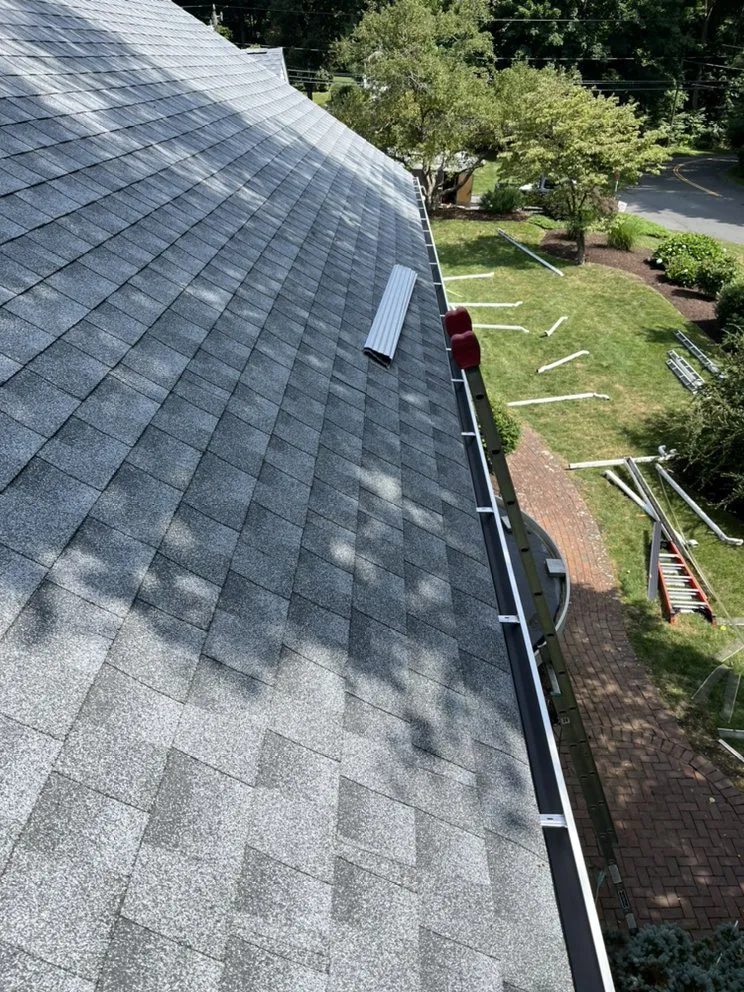 Slide of Construction Mutants