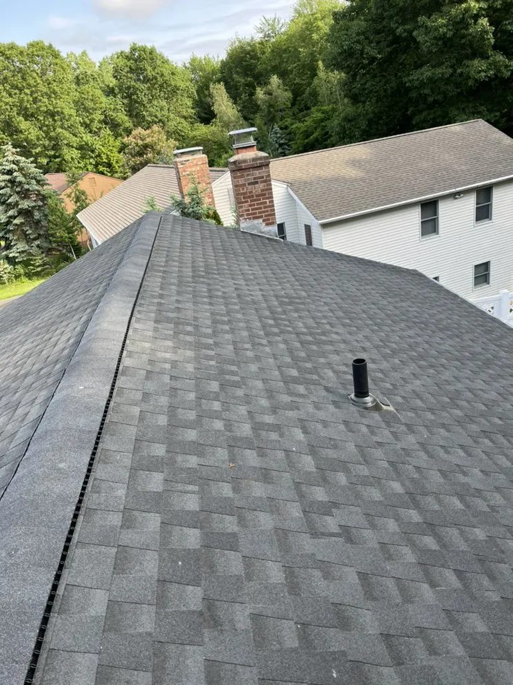 Slide of Construction Mutants