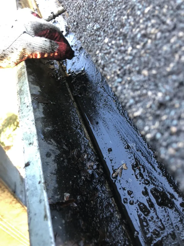 Slide of Construction Mutants