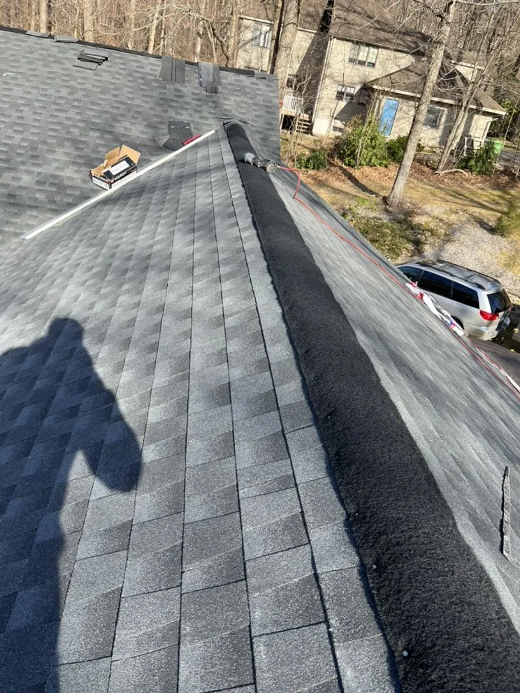 Slide of Construction Mutants