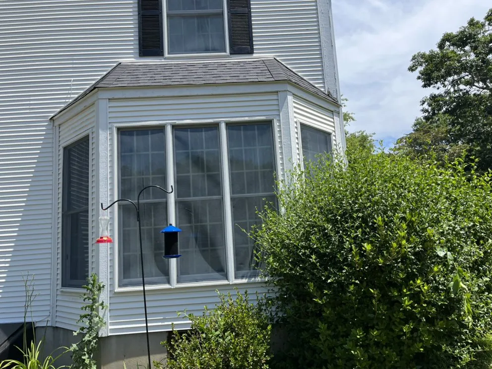 Slide of Construction Mutants