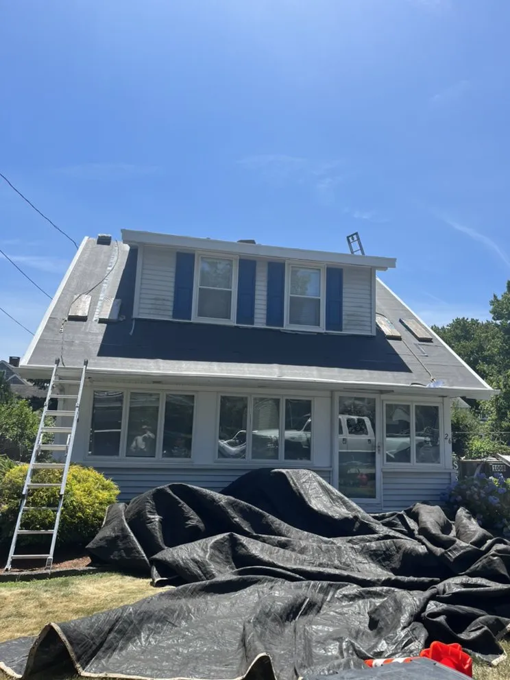 Slide of Construction Mutants