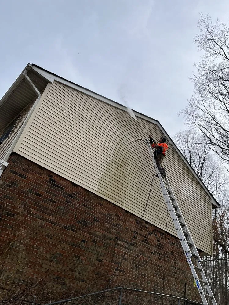 Slide of Construction Mutants